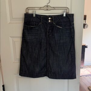 Banana Republic Dark Blue Pencil Skirt